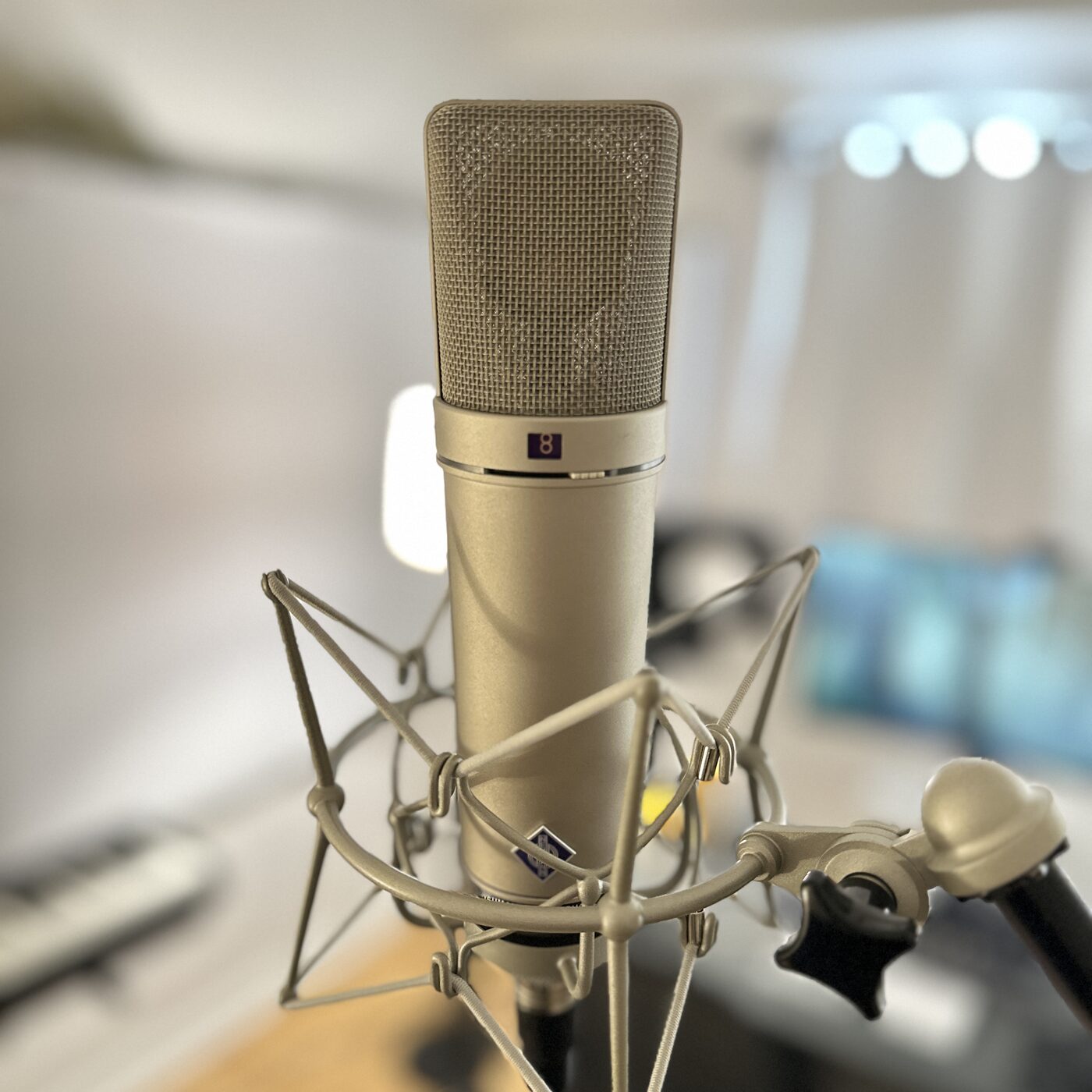 Neumann U87 microphone
